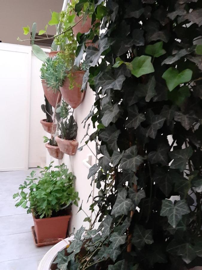 Litium 3 Bed & Breakfast Lecce Eksteriør bilde